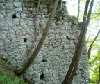 Stari grad na sastavcima Paljanske i Mokranjske Miljacke